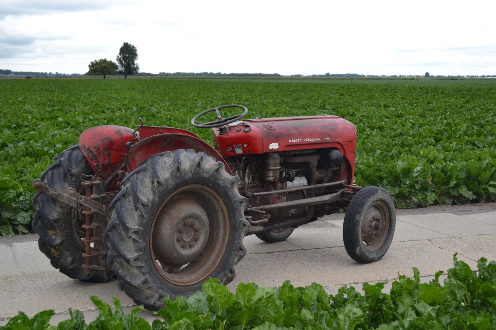 Massey Ferguson 35 smalspoor