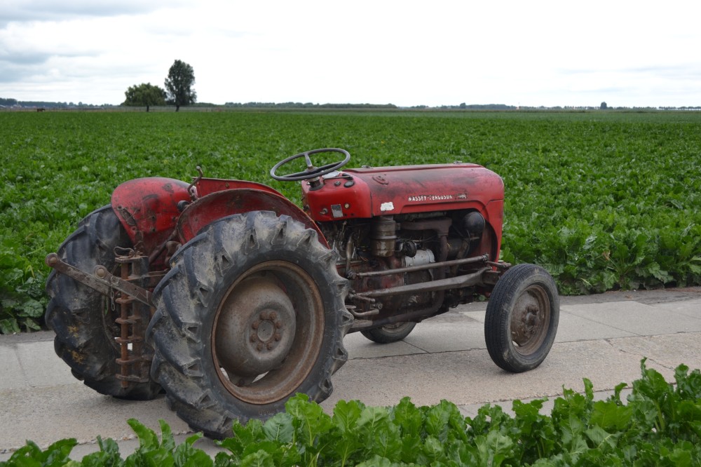 Massey Ferguson 35 smalspoor